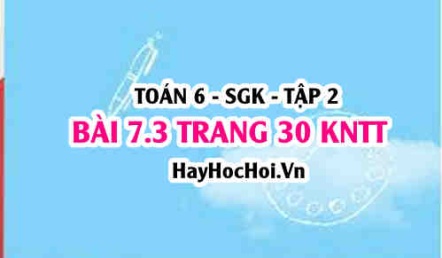 Bài 7.3 trang 30 Toán 6 Tập 2 Kết nối tri thức
